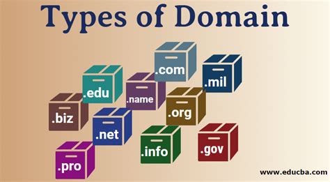 what is a website's domain